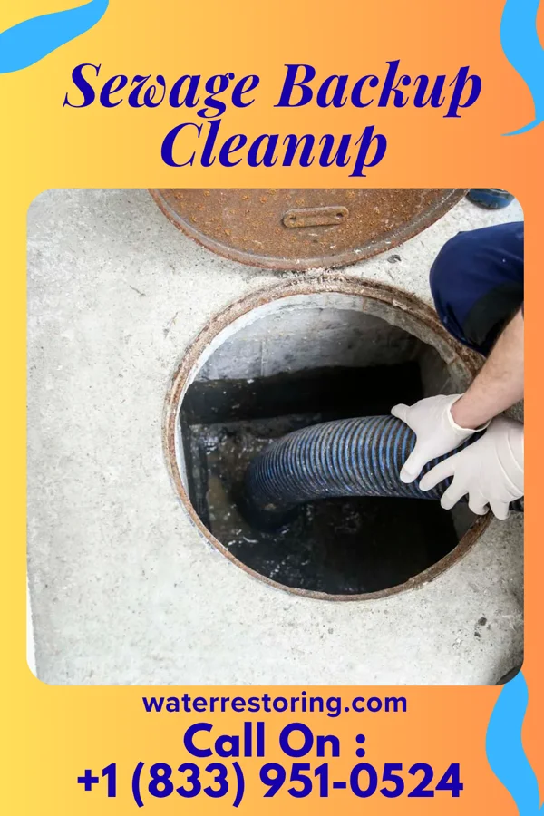 Sewage Backup Cleanup in Allendale, MO